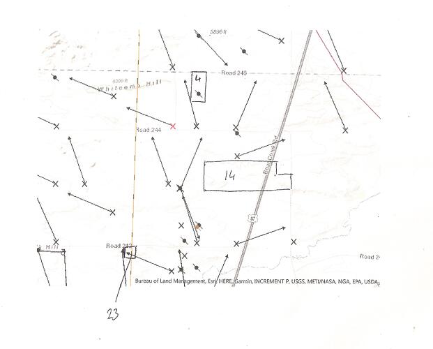 Image (2)