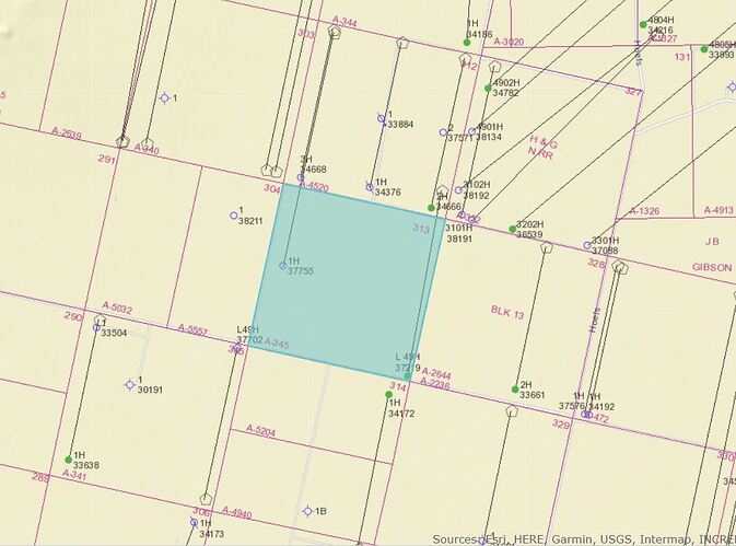 %20Survey%2C%20Block%2013%2C%20Section%20313