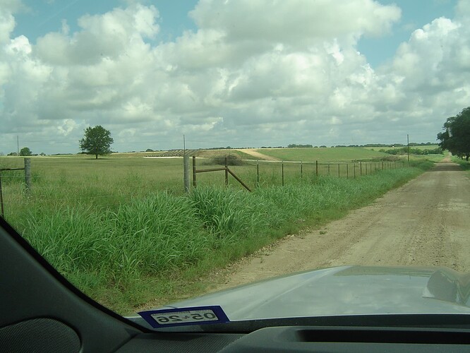 DSC02610