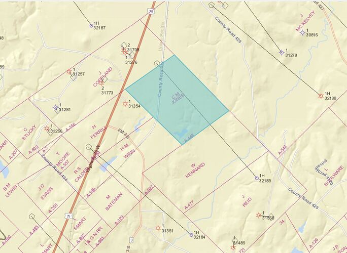 Leon County - CM Jones Survey A-448