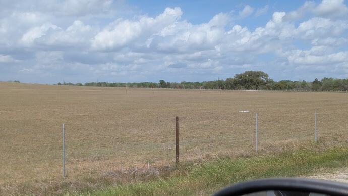 PXL_20260331_194748028.RAW-01.COVER