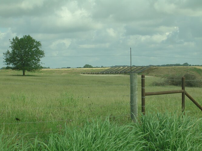 DSC02611