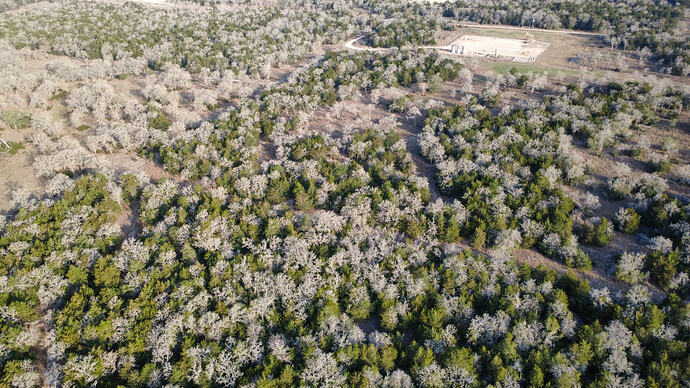 dji_fly_20260221_082716_11_1771684192609_photo_optimized