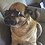 Betsy_Smith1