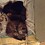 Kathryn_Milch