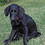 Mickey_Neman