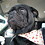 Robert_Berhow