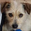 Vicki_Pietz