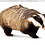Wisebadger